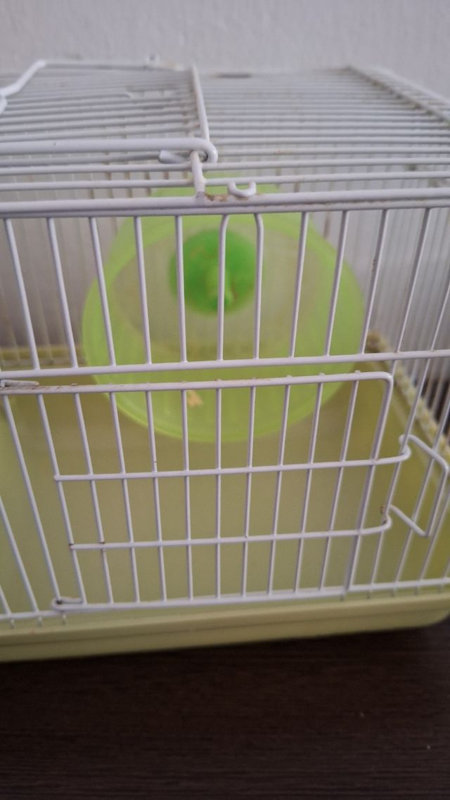 Jaula hamster: Verde y blanca