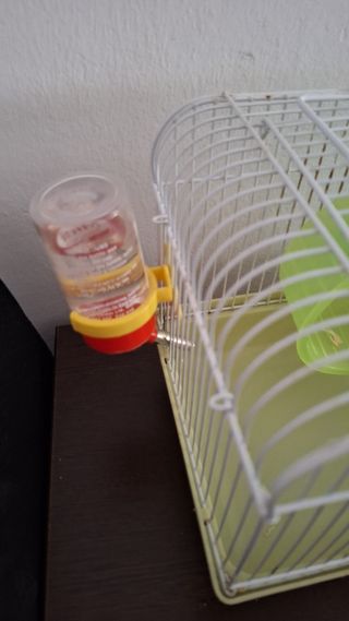 Jaula hamster: Verde y blanca