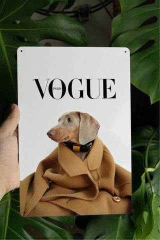 Cartello Vogue Paris - Cane