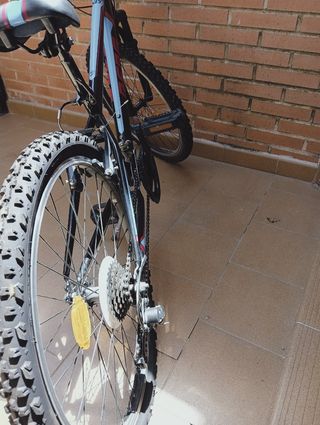 Bicicleta junior de montaña con marchas.