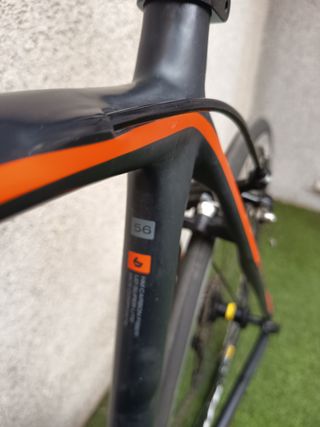 Bérgamont Prince Racer 2018