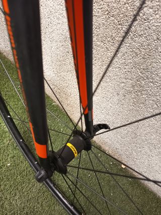Bérgamont Prince Racer 2018