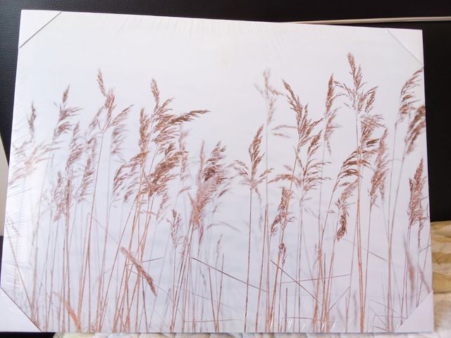 Cuadro decorativo beige | Naturaleza