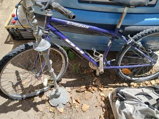 Bicicleta BH Oregon montaña