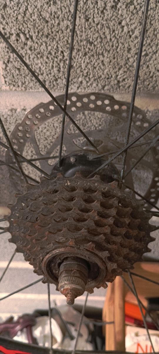 Rueda bici 26" usada trasera venta en persona