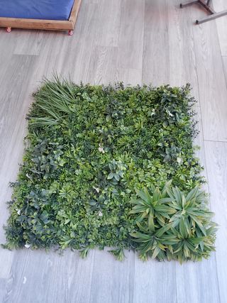 Parete vegetale 1x1m - Verde