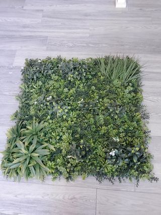 Parete vegetale 1x1m - Verde