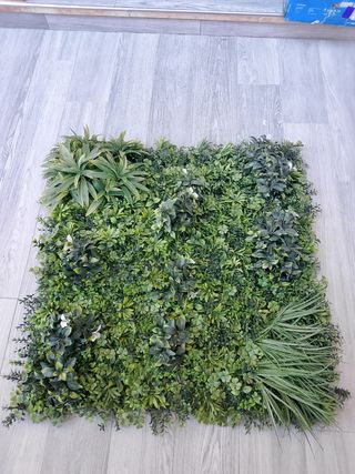 Parete vegetale 1x1m - Verde