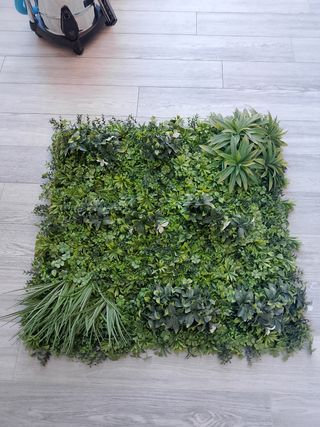 Parete vegetale 1x1m - Verde
