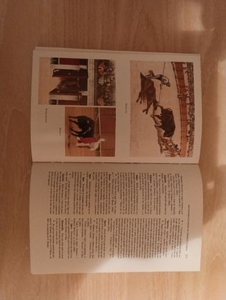 Diccionario ilustrado de términos taurinos