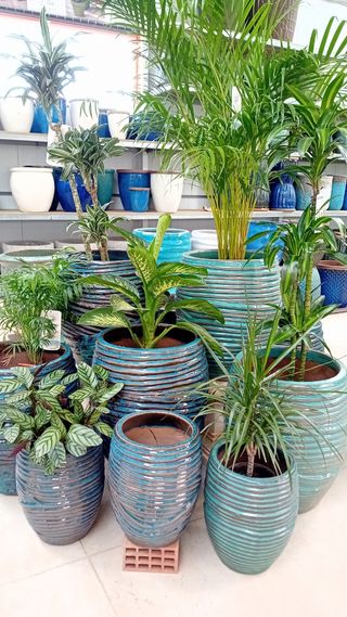 Macetas Cerámica Azul/Verde