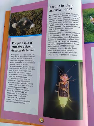 O Livro dos Porquês