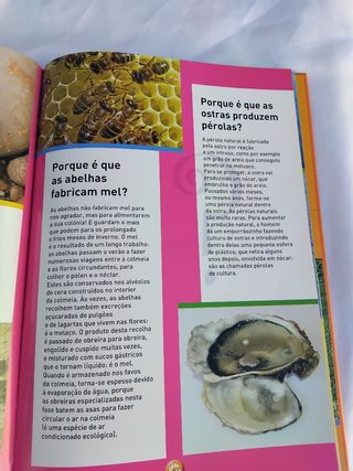 O Livro dos Porquês