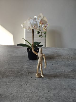 Modellino articolato legno