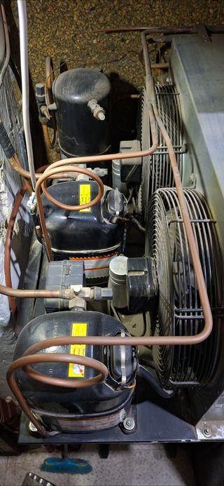 Motor doble cámara frío