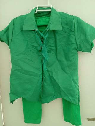 Disfraz Peter Pan niño