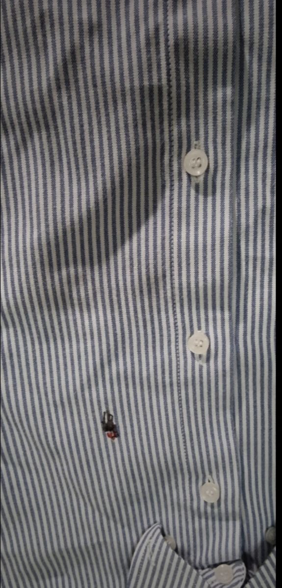 Conjunto niño: 2 camisas + pantalón 10/12