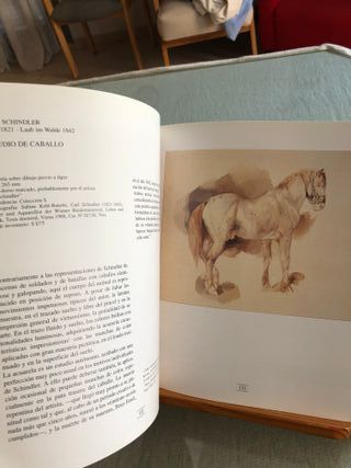 Tesoros del dibujo europeo. Stadtmuseum Linz-Nordi