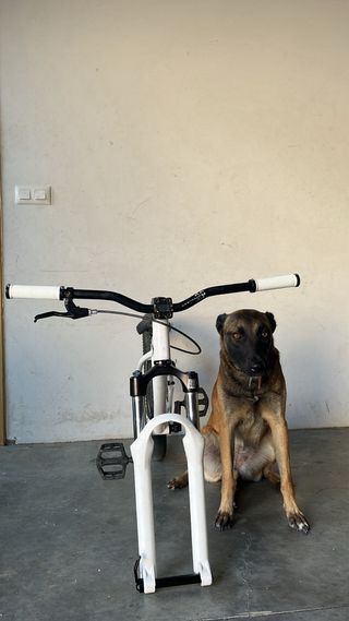 NS Bikes 24" Dirt jump