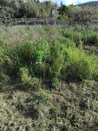 Jardinero profesional 632472573