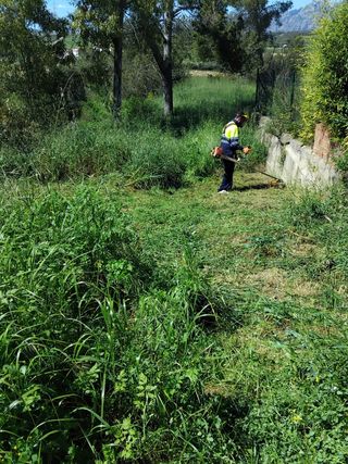 Jardinero profesional 632472573