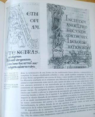 GOMBRICH EL SENTIDO DE ORDEN