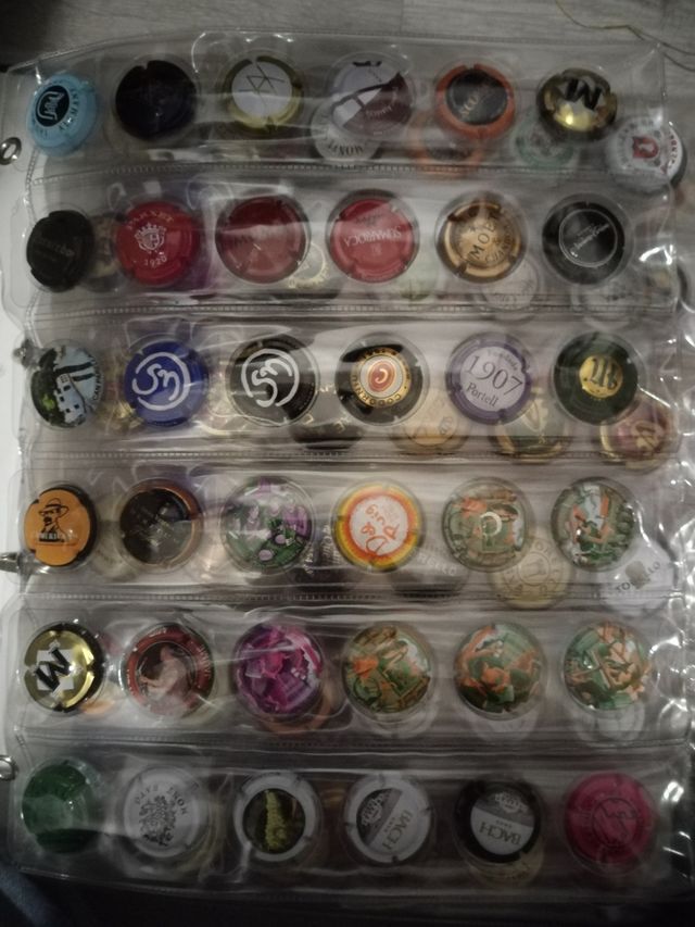 Colección chapas cava