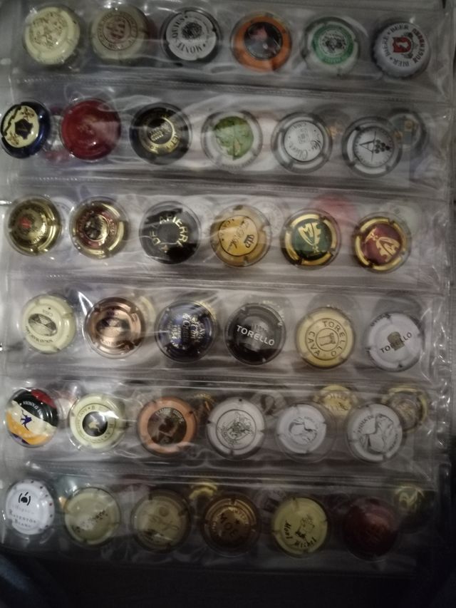 Colección chapas cava