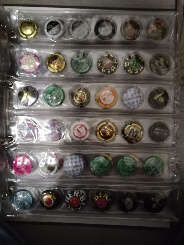 Colección chapas cava