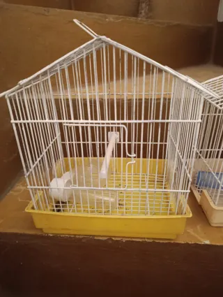 Jaula pajaros