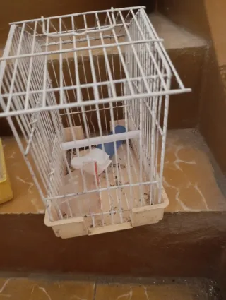 Jaula pajaros