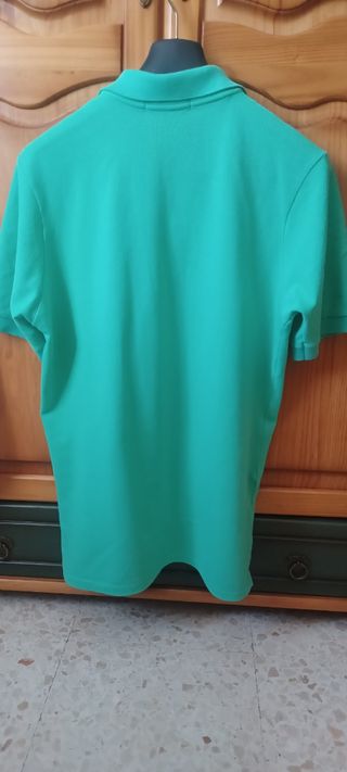 Polo Burberrys verde