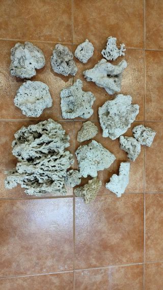 20 kg de Rocas marinas islas Fiji