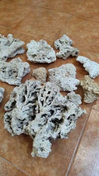 20 kg de Rocas marinas islas Fiji