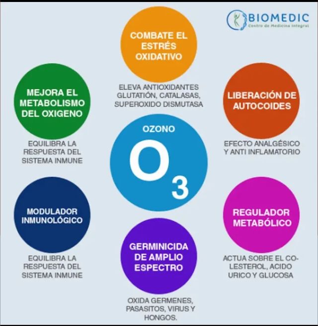 Generador Ozono DENEST 600mg/h