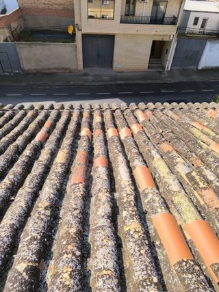 REFORMAS DE TEJADOS RICARDO 610 600 120