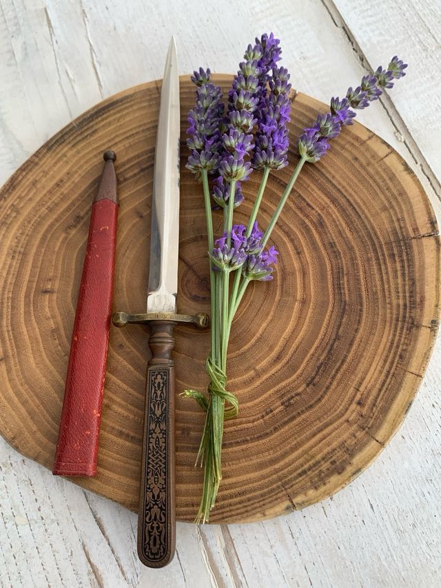 Pugnale antico con fodero