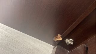 Armario ropero 4 puertas madera color wengue oscur