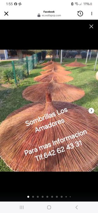 Sombrillas económica 