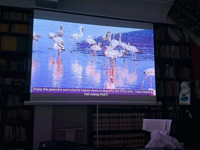 Proiettore Benq MW536 bianco