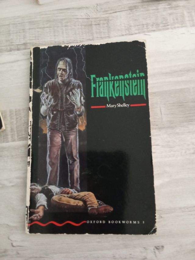 Lote de libros juveniles en ingles