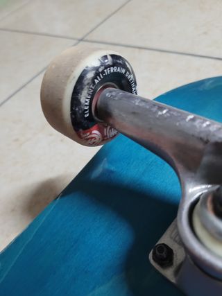 Skateboard Santa Cruz usato