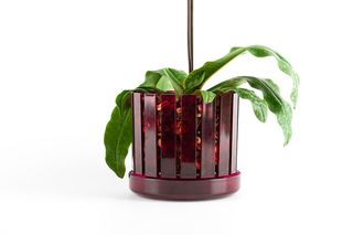 Set vaso da orchidee e sottovaso Orchitop Scoop