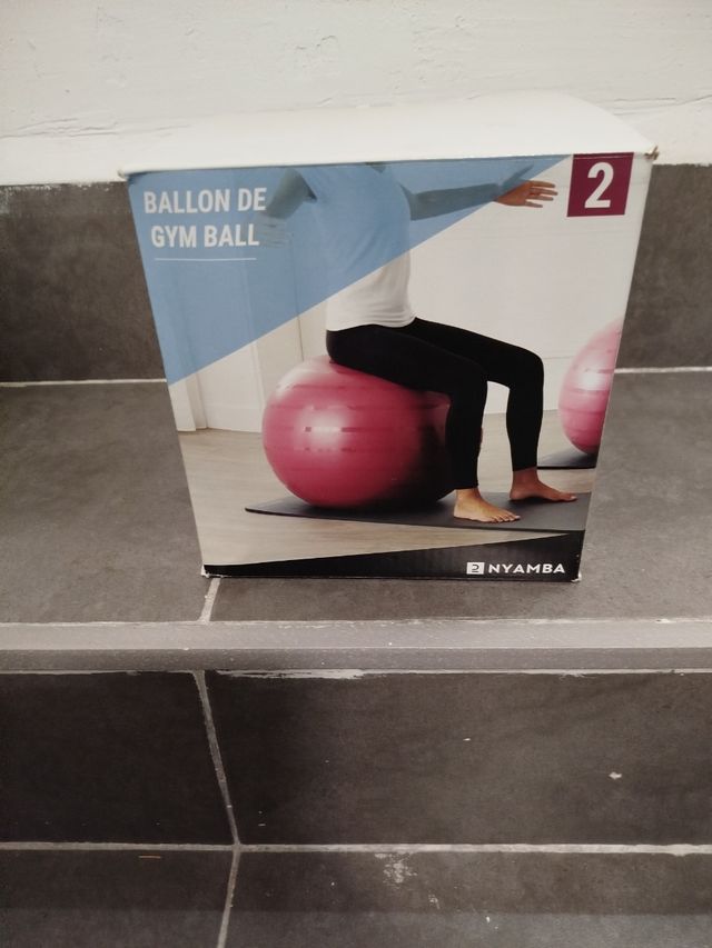 Fitball Pilates . Resistente