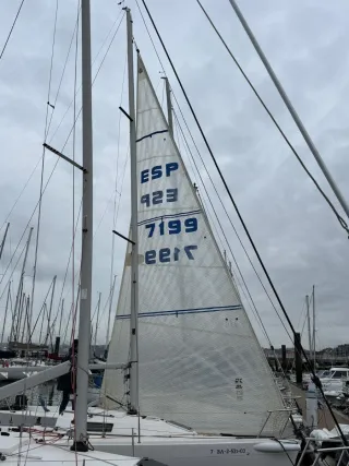 Génova ligero/medio para barco entre 8 y 9m.UKSm