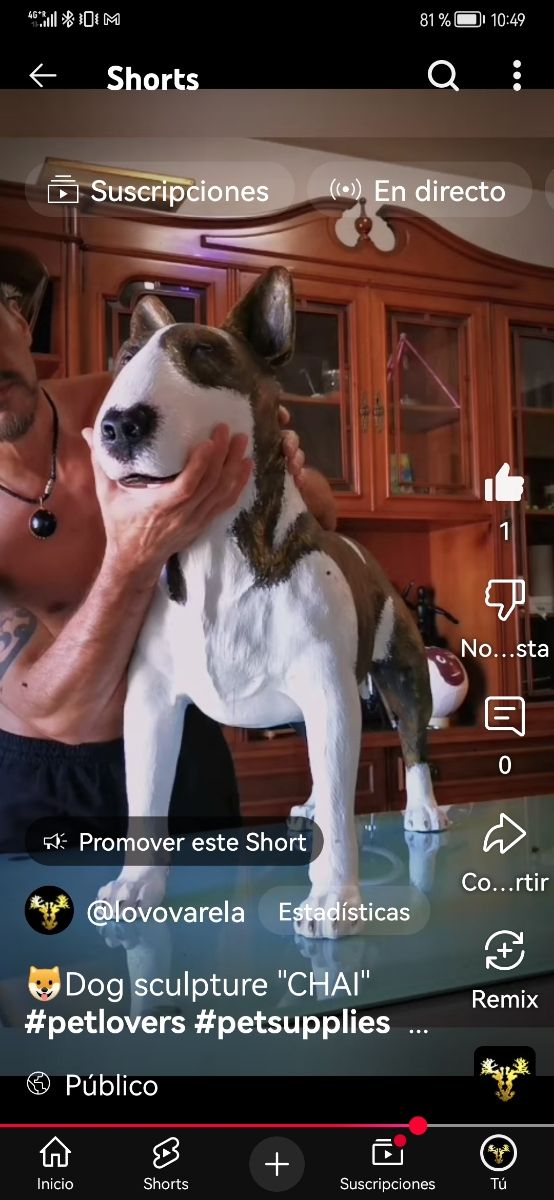 Tu mascota x siempre 