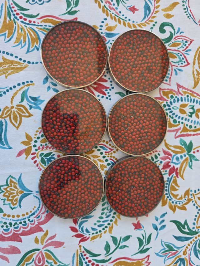 6 Posavasos redondos cristal