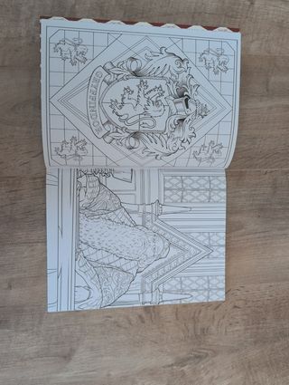 Libro colorear harry potter nuevo