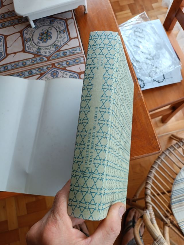 Vida y Reinado de Carlos II.