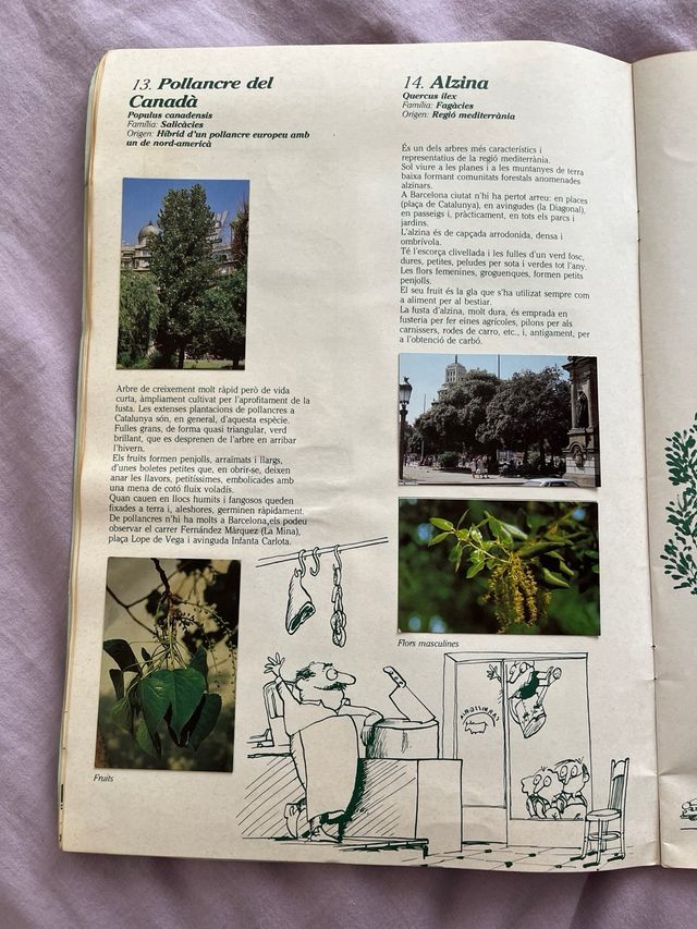 Álbum Arboles de Barcelona